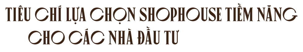 Cơ hội để sở hữu shophouse tại TP Cần Thơ - Ảnh 3