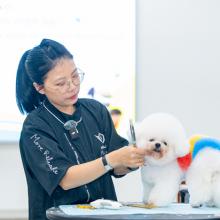 Grooming hiện đại mở rộng biên độ nghề Thú y cho người trẻ