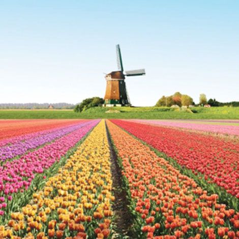 Tour du lịch Pháp - Bỉ - Hà Lan