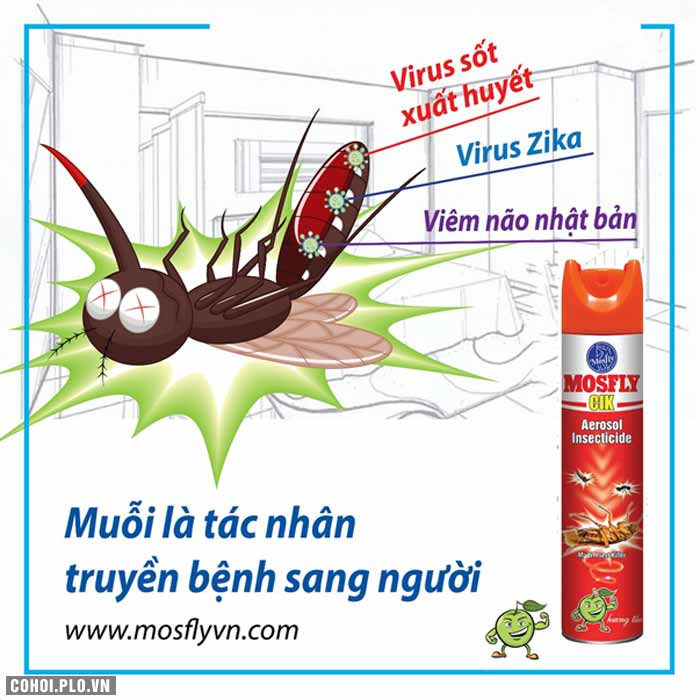 Diệt côn trùng thông minh mùa tết