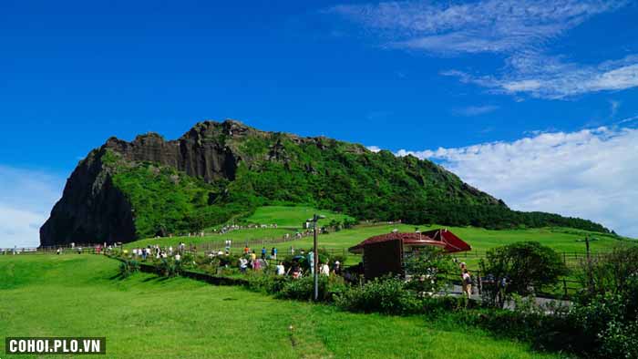 Hai điểm du lịch hè Hàn Quốc say lòng du khách Việt