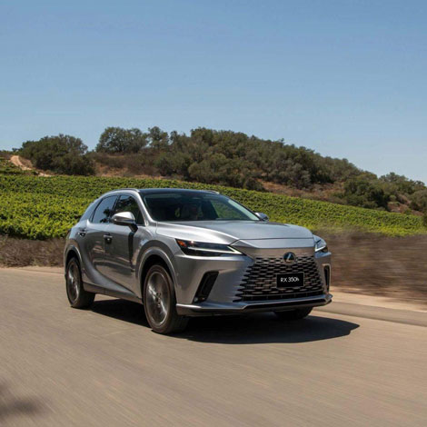 Lexus Việt Nam ra mắt thêm 2 phiên bản RX Hybrid