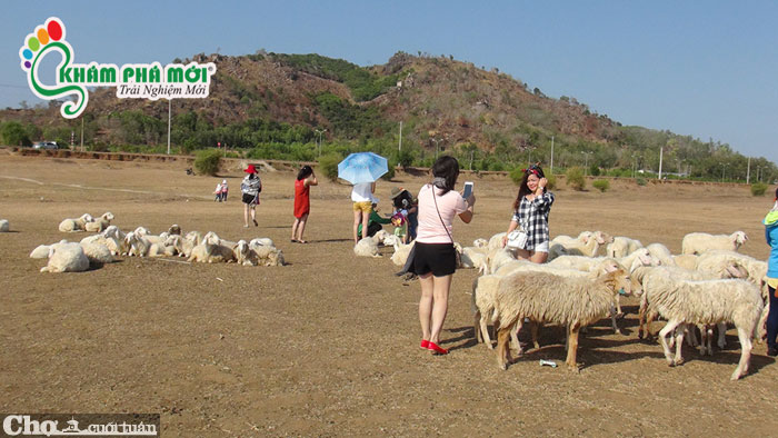 Tour Đồi cừu, Vũng Tàu, đảo Long Sơn