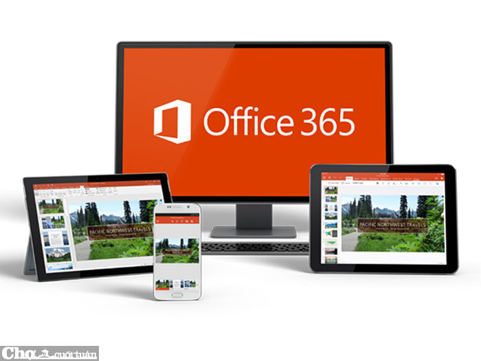 Office 365 - nâng tầm hiệu quả công việc