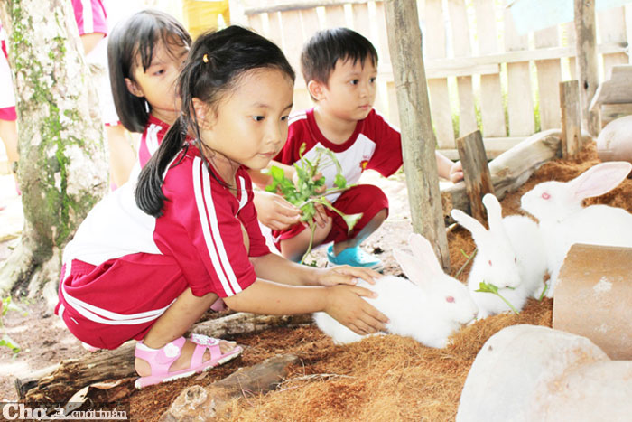 Cùng bé khám phá “Funny Farm” tại trường Saigon Academy