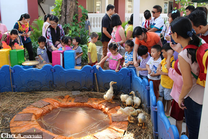 Funny Farm, trải nghiệm nông trại khó quên cho bé