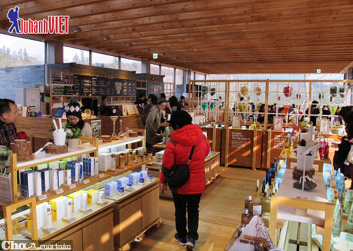 Du lịch Hàn Quốc 5 ngày siêu tiết kiệm