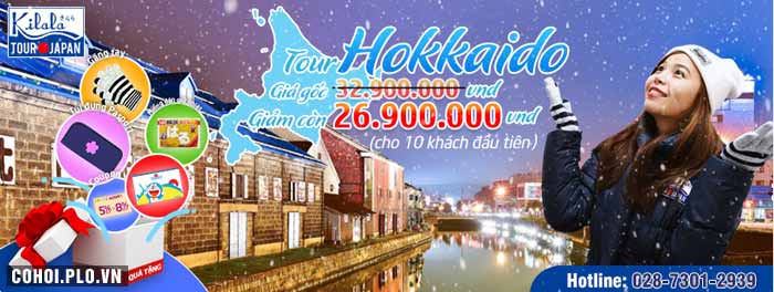 Cháy vé tour charter Hokkaido - ưu đãi 6 triệu đồng