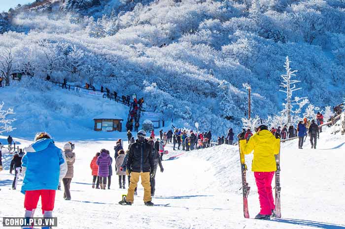 Trải nghiệm trượt tuyết khám phá mùa đông xứ Hàn - Ảnh 1