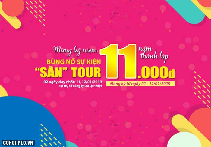 Du Lịch Việt dành tặng 1.100 vé dịch vụ tour 11.000 đồng - Ảnh 1