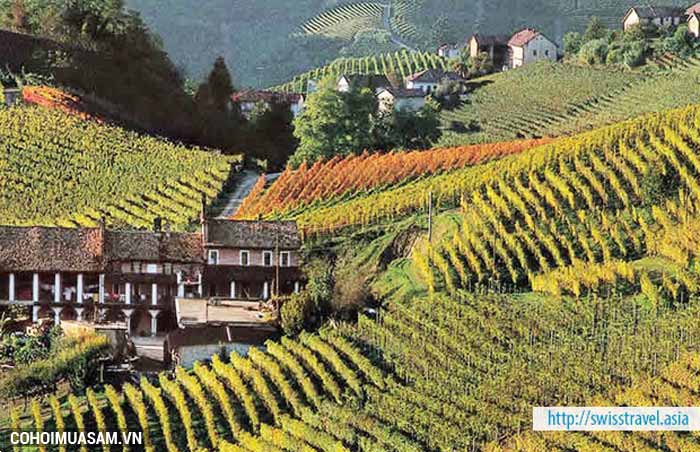 Du lịch Thụy Sĩ, Ý - tour văn hóa và đặc sản ẩm thực - Ảnh 5