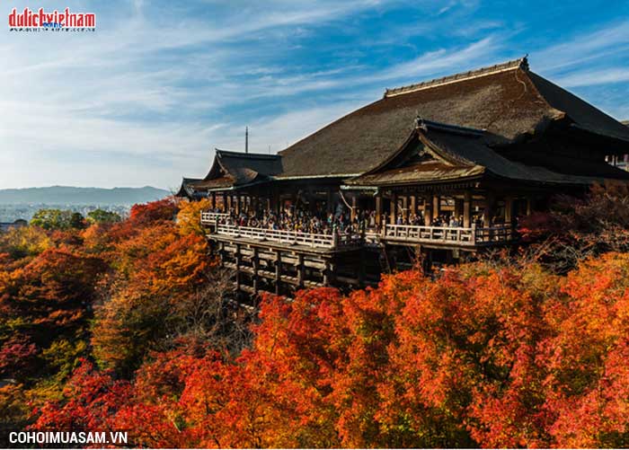 Tour Nhật Bản mùa lá đỏ - ưu đãi vàng từ 19,9 triệu đồng - Ảnh 3