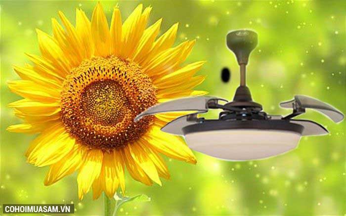 Xả kho quạt trần trang trí AlphaFan Sunflower chính hãng - Ảnh 5