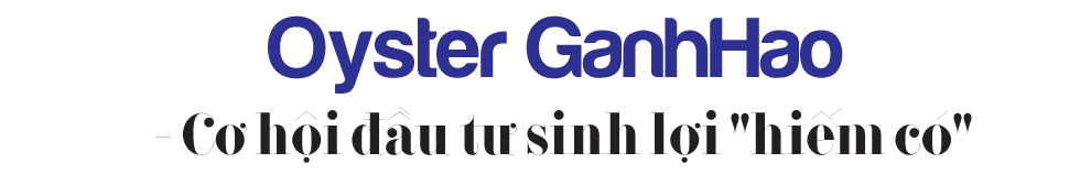 Oyster GanhHao - Át chủ bài của dòng căn hộ du lịch cao cấp tại Vũng Tàu - Ảnh 4