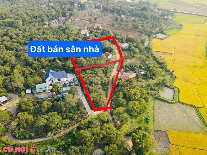 Sang đất huyện Cư Kuin, Đắk Lắk - Ảnh 4