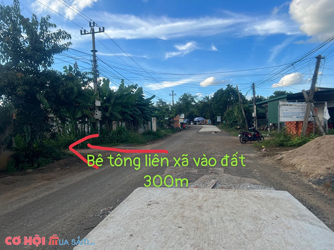 Sang đất huyện Cư Kuin, Đắk Lắk - Ảnh 5