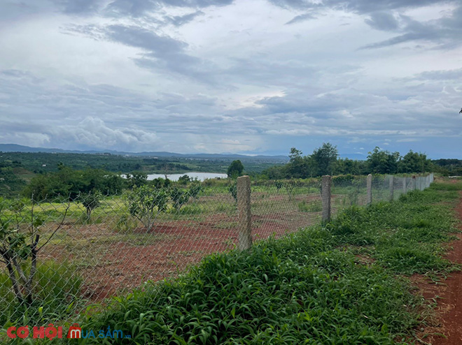 Cần sang đất xã Tam Giang, huyện Krông Năng, Đắk Lắk - Ảnh 3