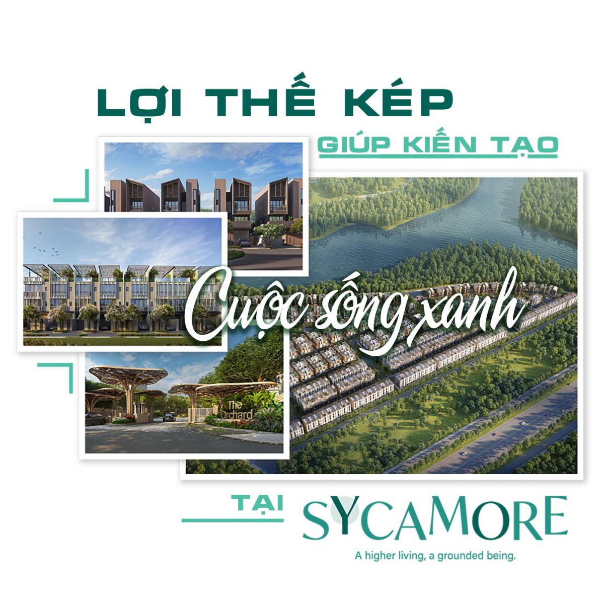 Lợi thế kép giúp kiến tạo cuộc sống xanh tại Sycamore