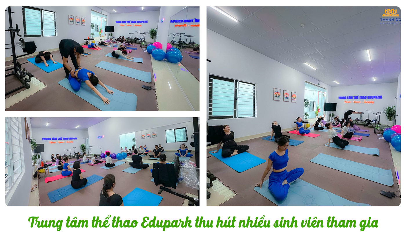 Những cách ′tự chữa lành′ của sinh viên Trường đại học Thành Đô - Ảnh 6 Những cách ′tự chữa lành′ của sinh viên Trường đại học Thành Đô - Ảnh 6