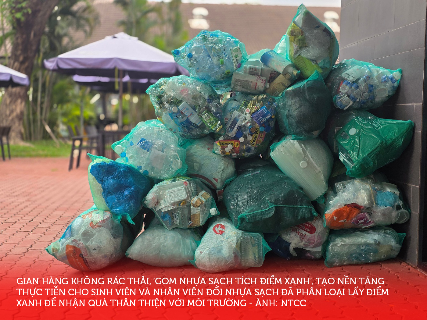 RMIT thúc đẩy tính bền vững trong đời sống hằng ngày bằng hành động - Ảnh 2