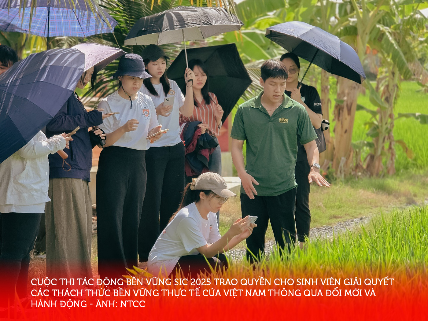 RMIT thúc đẩy tính bền vững trong đời sống hằng ngày bằng hành động - Ảnh 7