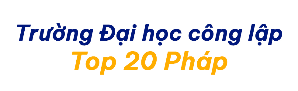 Chương trình Cử nhân Pháp tại UEF: Học tại TP.HCM, nhận bằng thế giới - Ảnh 3
