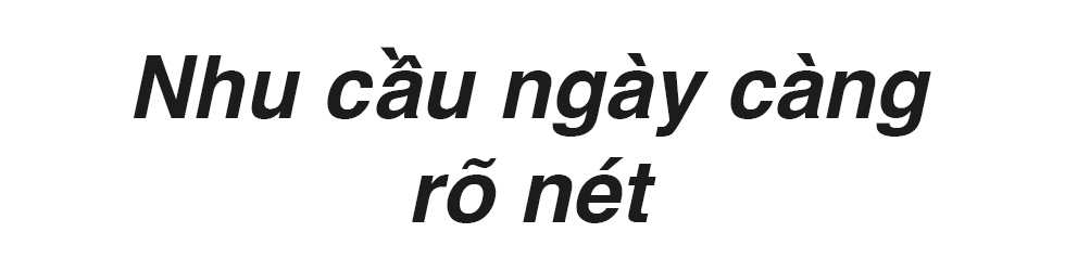 Vì sao Quốc tế học ngày càng thu hút người trẻ? - Ảnh 3