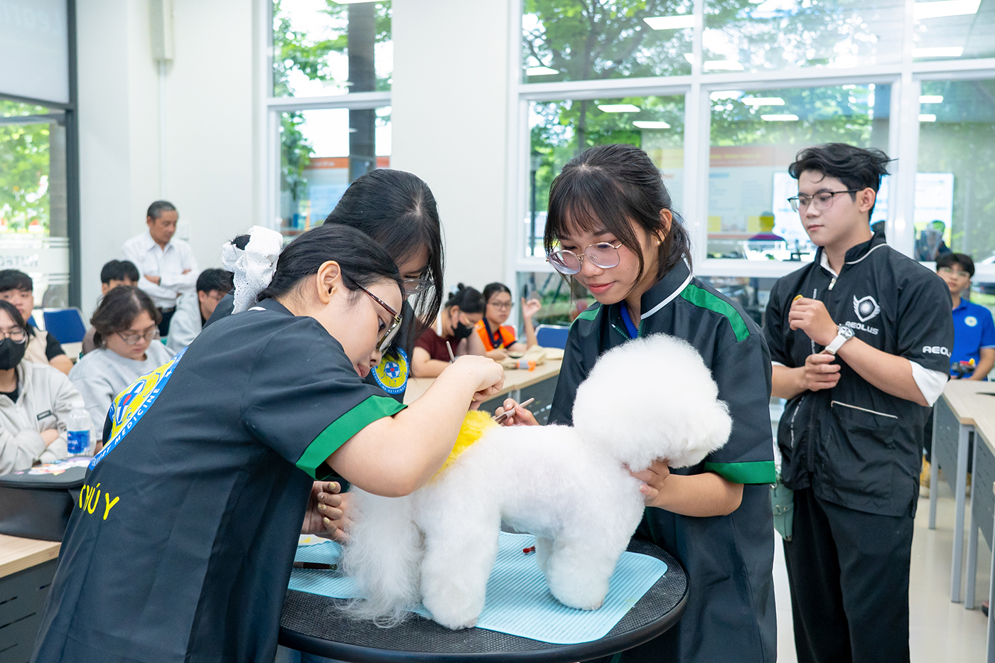 Grooming hiện đại mở rộng biên độ nghề Thú y cho người trẻ - Ảnh 6