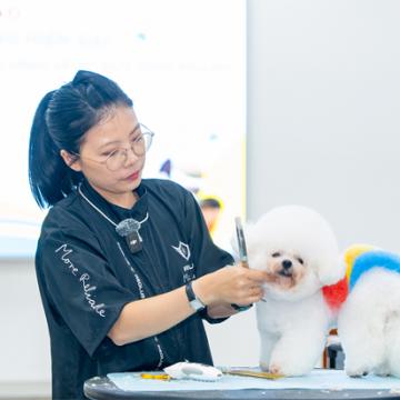 Grooming hiện đại mở rộng biên độ nghề Thú y cho người trẻ