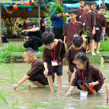 Mùa hè rực rỡ: Từ hóa nông dân nhí đến nhà thám hiểm rừng