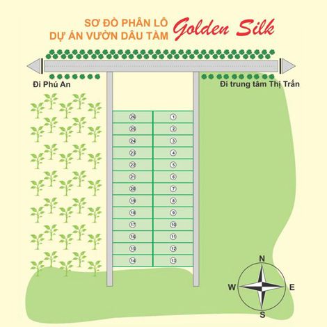 Dự án vườn dâu Golden Silk Đồng Nai