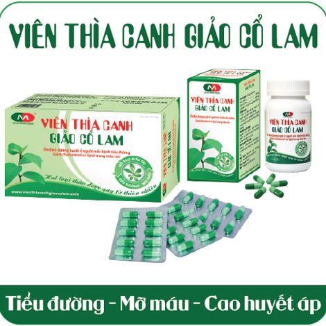 Viên Thìa Canh Giảo Cổ Lam - Cây thuốc quý Việt Nam