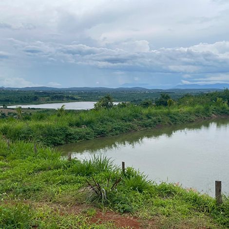 Cần sang đất xã Tam Giang, huyện Krông Năng, Đắk Lắk
