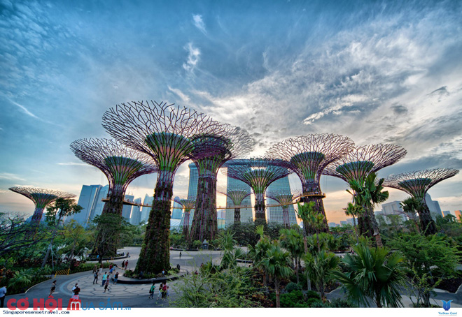 Khám phá tour Singapore 3 ngày 2 đêm tiết kiệm trọn gói từ 8,9 triệu đồng