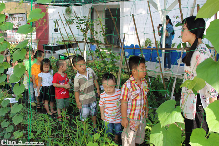 Funny Farm, trải nghiệm nông trại khó quên cho bé