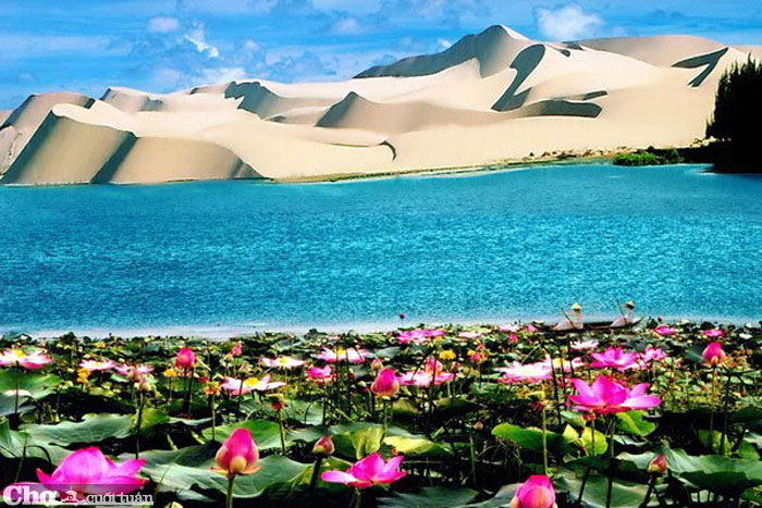 Du lịch núi Chứa Chan, Mũi Né, Phan Thiết giá rẻ