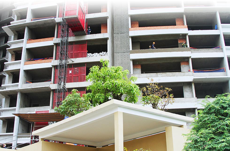 Cây cảnh trăm tuổi tại khu phức hợp Kenton Node Hotel Complex