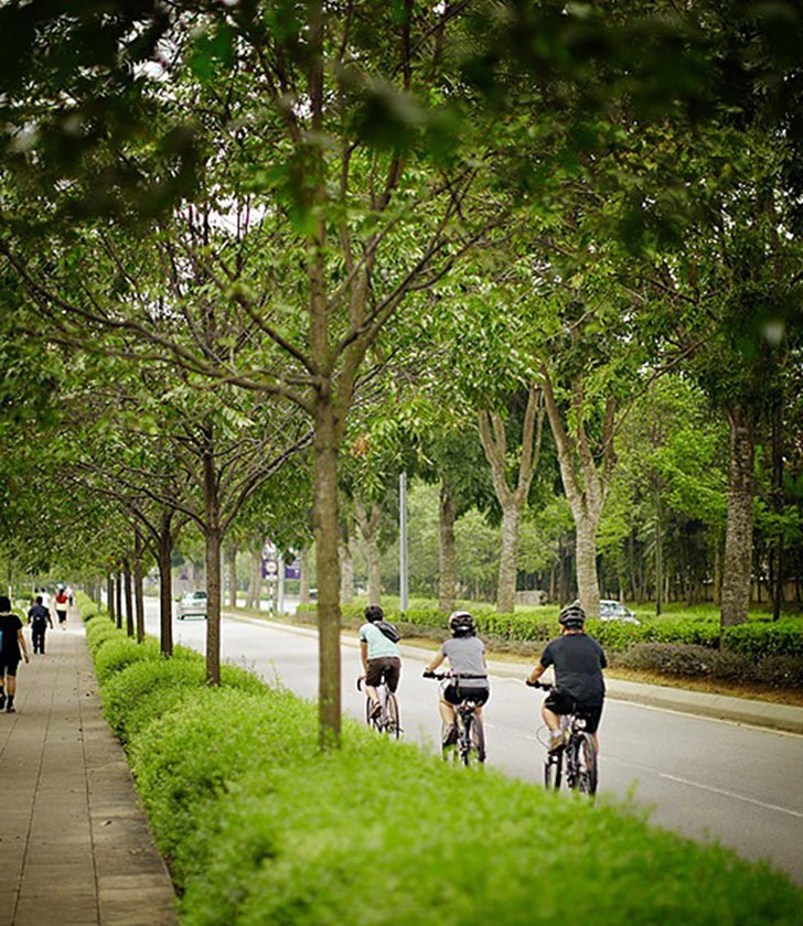 5 lý do để sở hữu The Mansions ParkCity Hanoi