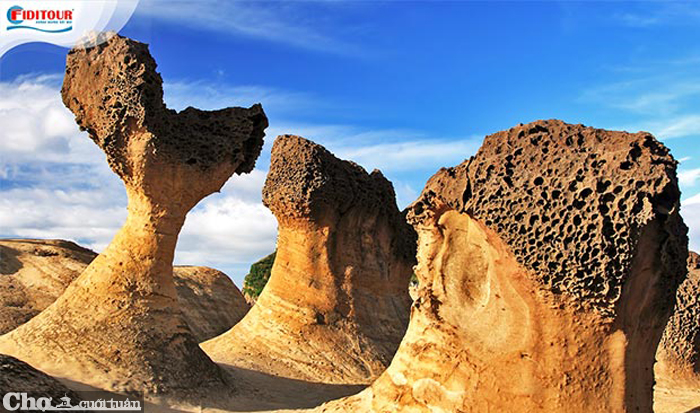Tour Đài Loan giá tiết kiệm