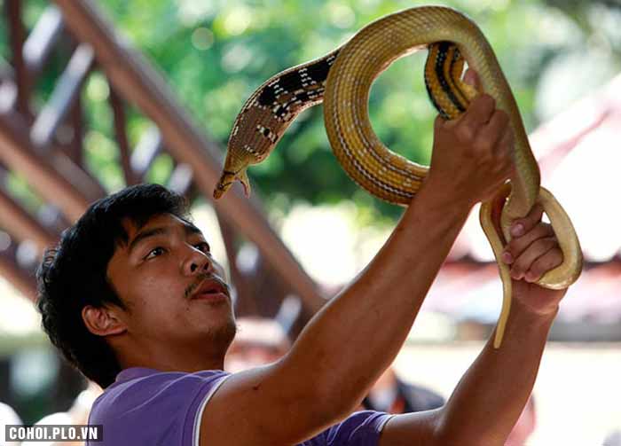 Tour du lịch Thái Lan giá rẻ