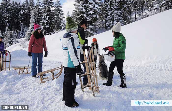 Tour Thụy Sĩ - Đức - Hà Lan Tết Nguyên đán 2019