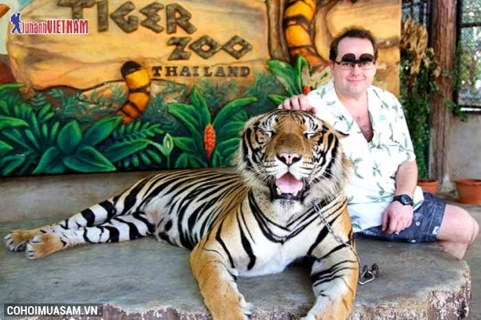 Tour Thái Lan 4 sao, siêu khuyến mãi - Ảnh 2 Tour Thái Lan 4 sao, siêu khuyến mãi - Ảnh 2
