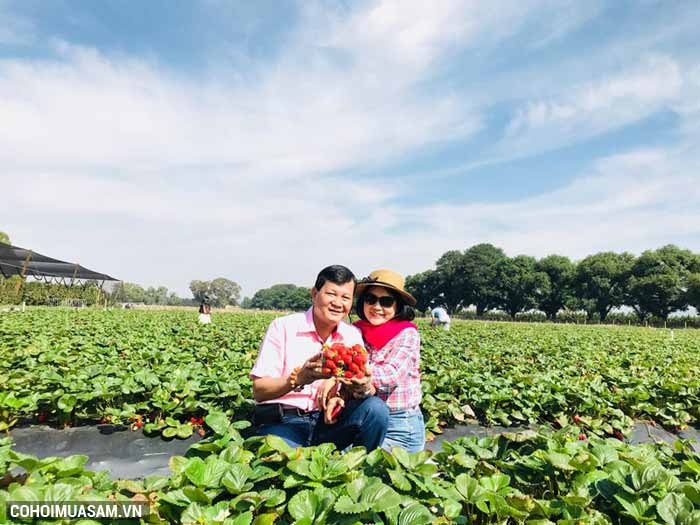 Du Lịch Việt ưu đãi hè đặc biệt đến 5 tỉ đồng - Ảnh 3 Du Lịch Việt ưu đãi hè đặc biệt đến 5 tỉ đồng - Ảnh 3