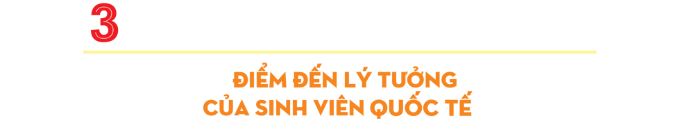 UEF trên hành trình đón sóng hội nhập - Ảnh 8 UEF trên hành trình đón sóng hội nhập - Ảnh 8