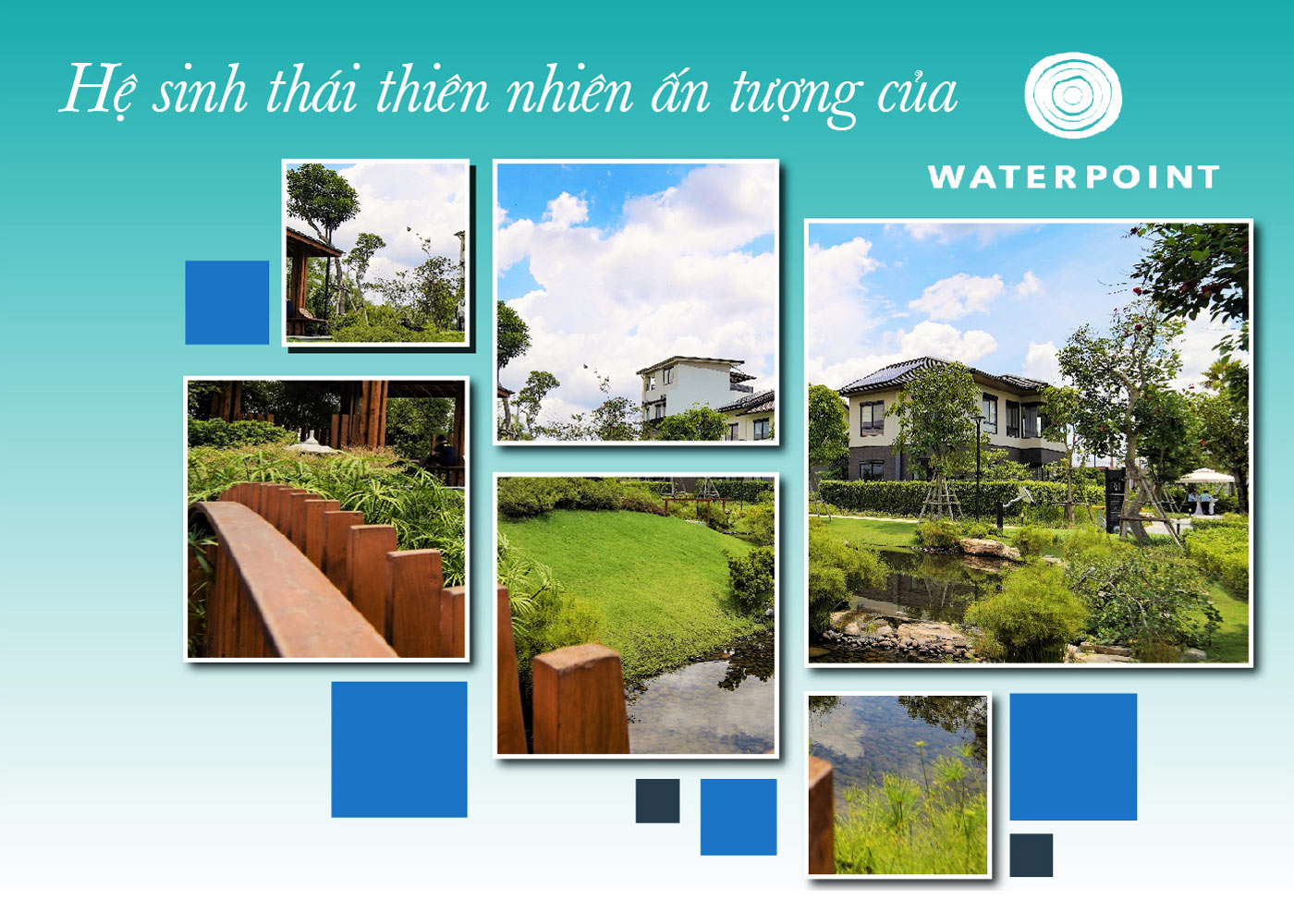 Hệ sinh thái thiên nhiên ấn tượng của Waterpoint - Ảnh 1 Hệ sinh thái thiên nhiên ấn tượng của Waterpoint - Ảnh 1