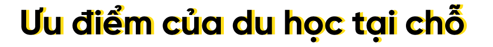 Du học tại chỗ và hướng lựa chọn chương trình quốc tế trong nước - Ảnh 2 Du học tại chỗ và hướng lựa chọn chương trình quốc tế trong nước - Ảnh 2