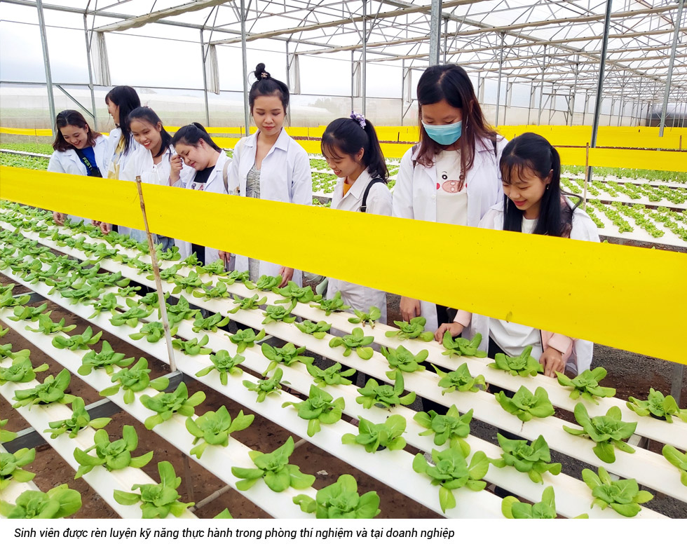 Đại Học Bình Dương Đồng hành kiến tạo tương lai - Ảnh 2 Đại Học Bình Dương Đồng hành kiến tạo tương lai - Ảnh 2