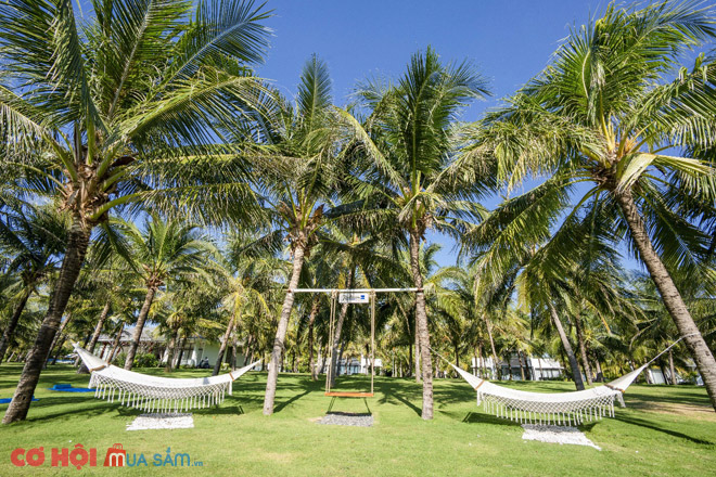 Diện mạo mới, đón năm mới cùng Radisson Blu Resort Phú Quốc - Ảnh 6 Diện mạo mới, đón năm mới cùng Radisson Blu Resort Phú Quốc - Ảnh 6
