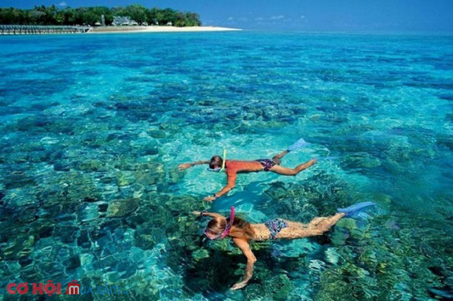 Tour Phú Quốc 3 ngày 2 đêm từ TP.HCM ưu đãi chỉ còn từ 3.290.000 đồng - Ảnh 4 Tour Phú Quốc 3 ngày 2 đêm từ TP.HCM ưu đãi chỉ còn từ 3.290.000 đồng - Ảnh 4