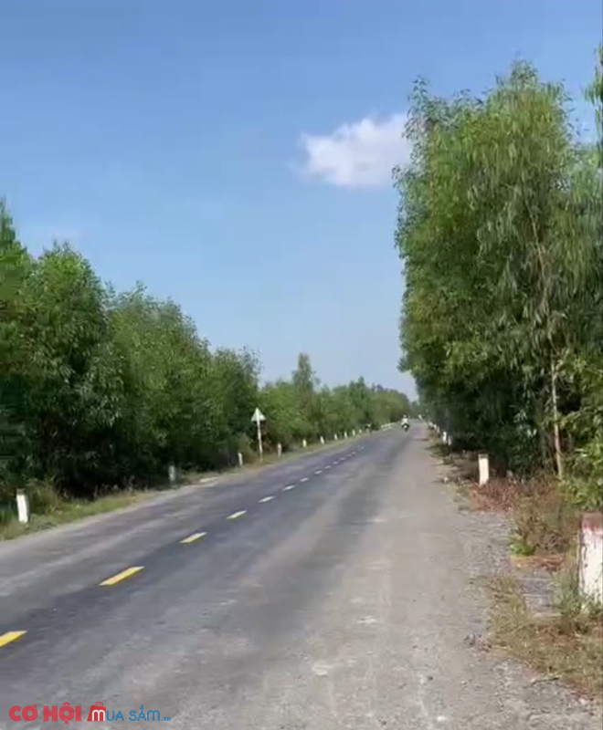 Cần sang đất mặt tiền kênh T1 ở huyện Thủ Thừa, Long An - Ảnh 2 Cần sang đất mặt tiền kênh T1 ở huyện Thủ Thừa, Long An - Ảnh 2